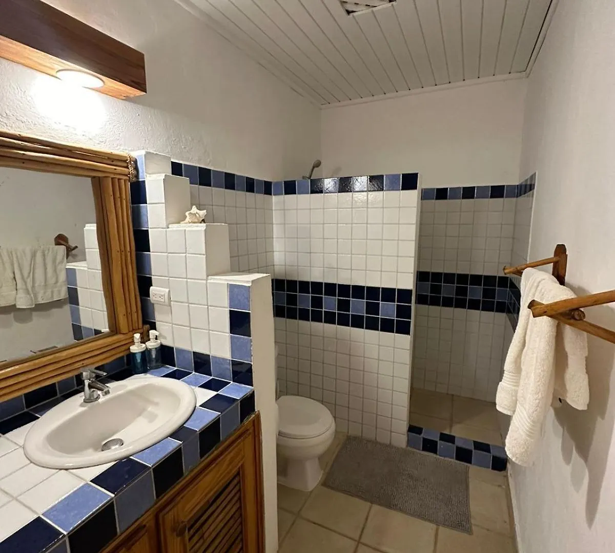 Renovated Cheerful 3-Bedrooms Villa With Pool Las Terrenas 0*,  Dominican Republic